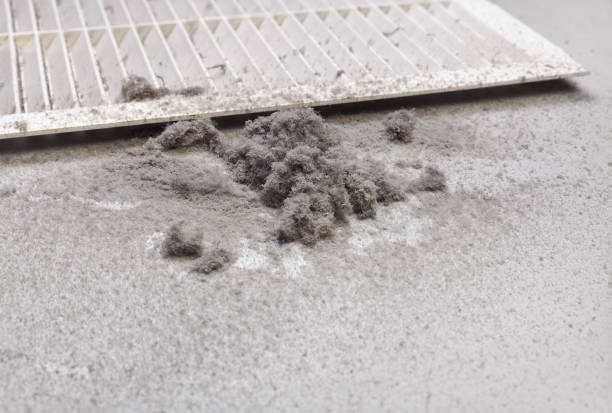 Best Ductwork Cleaning Services  in Fort Wayne, IN